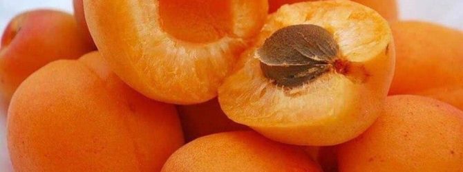 15 продуктів, в яких краще не відмовляти собі