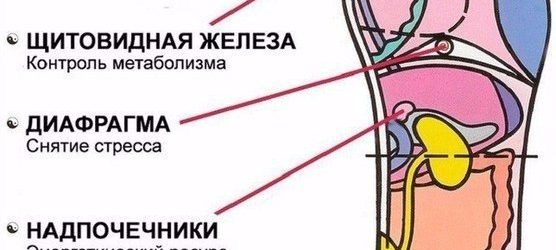 7 АКТИВНИХ ТОЧОК НА СТОПІ ПОВЕРНУТЬ ТЕБЕ ДО ЖИТТЯ ЗА ПАРУ ХВИЛИН!