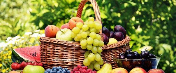 Чого не вистачає твоєму організму...