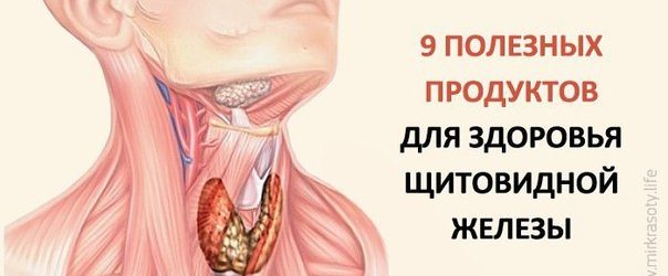 9 ПРОДУКТІВ ДЛЯ ЩИТОВИДНОЇ ЗАЛОЗИ