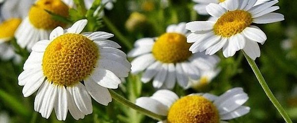 Ранкові маски для молодості шкіри