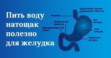 Ось чому варто пити воду натщесерце! Ніколи б не подумав, що це так корисно...