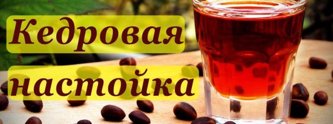 КЕДРОВА НАСТОЯНКА ВІД БАГАТЬОХ ХВОРОБ