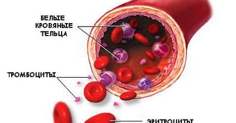 9 показників крові, які розкажуть все про ваше здоровя