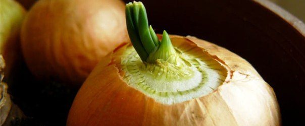 Ці хвороби цибулю лікує краще таблеток!