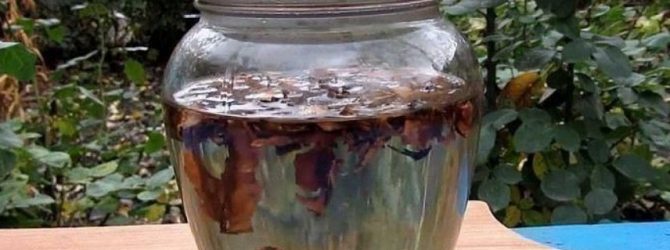 Цілюща настоянка з перегородок волоського горіха