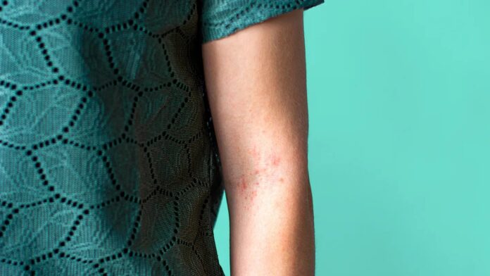 4d2b5590-34eb-4d64-a236-9f228c04f931