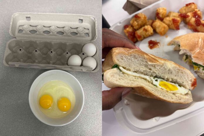 6da020f9-1f77-4313-94e7-20e168419fa4-1