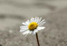 Як використовувати силу позитивного стресу: як позитивний стрес може підвищити ваше самопочуття