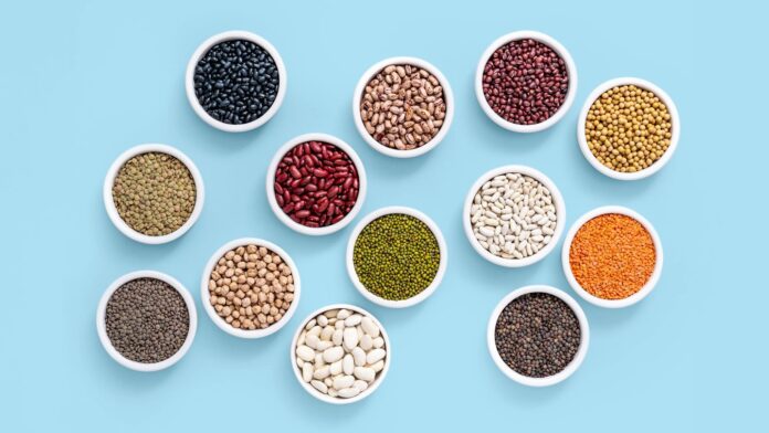 d50d4fdb-a251-4c45-b9d0-c20d190373f7