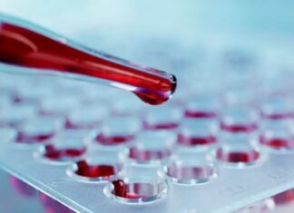 Gene Regulation Breakthroughs Offer New Hope for Sickle Cell and Thalassemia Patients