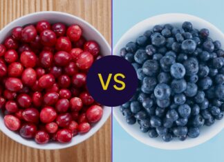 Cranberry dan Blueberry: Perbandingan Nutrisi