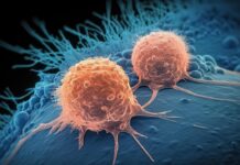 Terapia Celular Universal: Um Avanço no Tratamento do Câncer