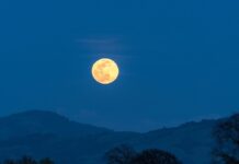 Цикличное Синхронизирование: Согласование Жизни с Гормонами