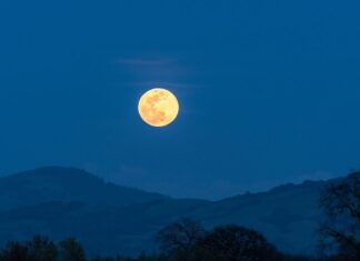 Sincronización de ciclos: alinear tu vida con tus hormonas