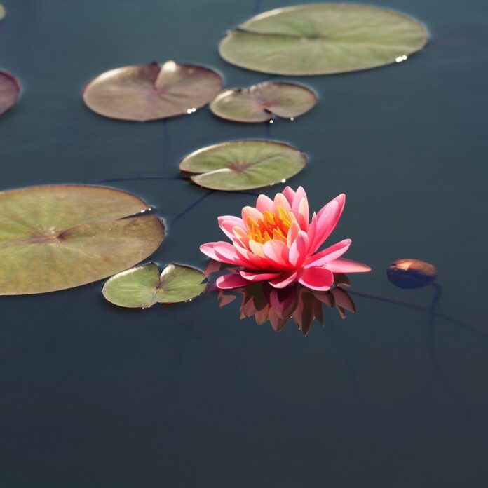 5ddd7cc5-8d75-44e0-b51b-f275a6c90b73