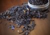 Thé Earl Grey : un aperçu complet de la santé