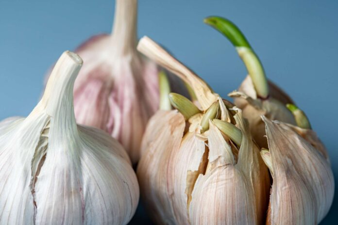 9854a9ac-6039-4bc6-9a41-b7262ccd901a