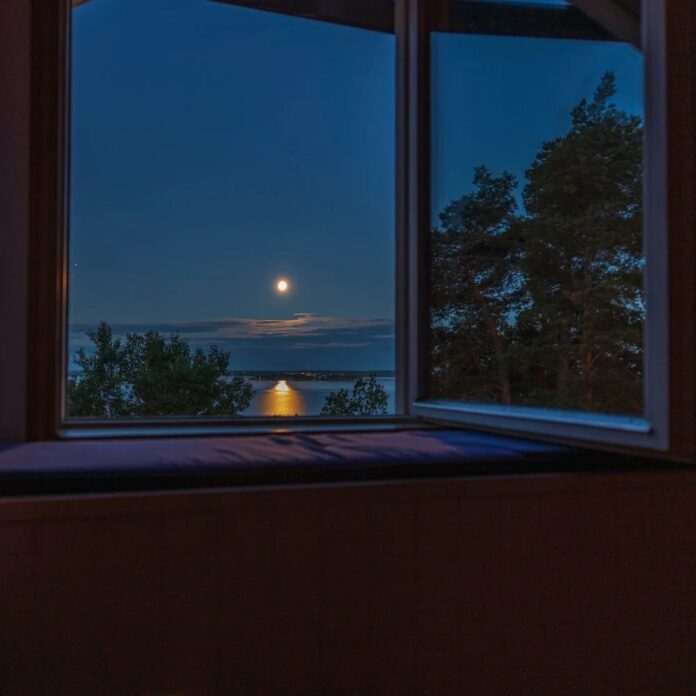 e3681042-7109-46cd-aa56-56e8ba33ab38