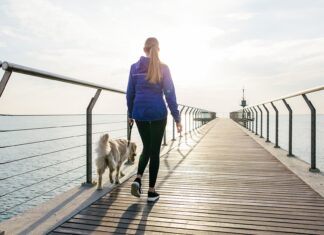 L’esercizio aerobico aumenta la ritenzione della memoria negli anziani, secondo uno studio