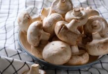 Удивительные полезные свойства регулярного употребления грибов