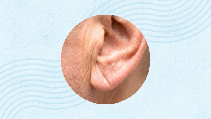 1bfd366e-2cce-493c-a921-368fa5db1a23