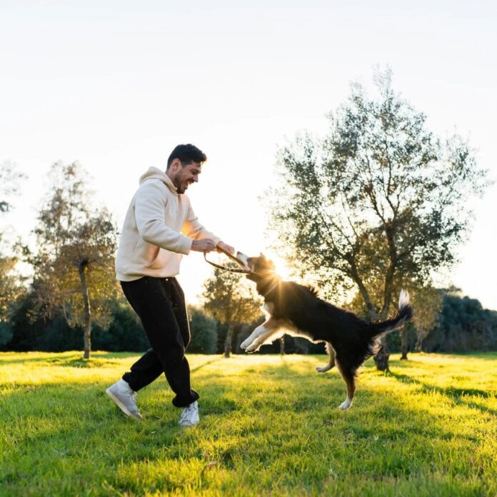 5b59a234-1356-4064-ae96-f4e7267a9993