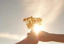 Больше, чем просто кружка: 8 содержательных и доступных способов поблагодарить учителя