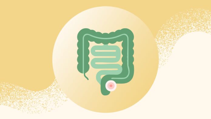 fb3e888d-160c-4e3c-9dd3-2183f5e724fd