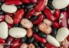 Beans vs. Cancer: The Anti-Metastasis Punchlist