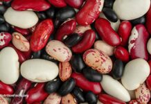 Beans vs. Cancer: The Anti-Metastasis Punchlist