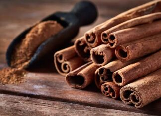 Canela: mais do que apenas um tempero para o bem-estar no inverno
